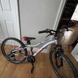 Fuji Mountain Bike 24”