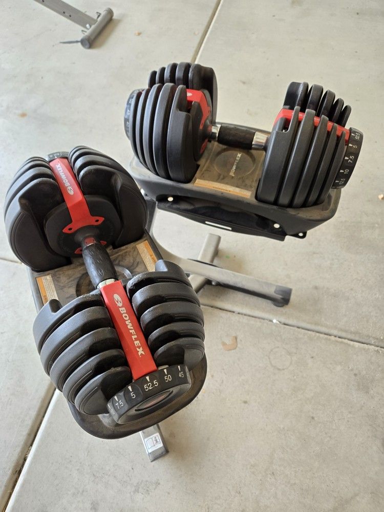 Adjustable Dumbbells And Stand