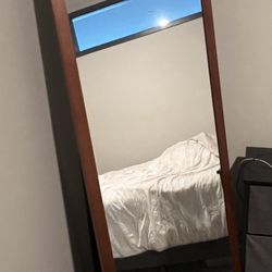Long mirror. Brown color. Great condition. Selfie mirror