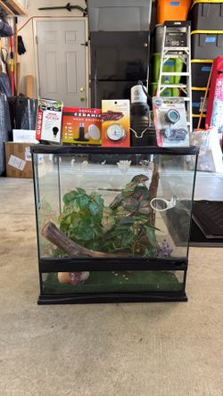 Reptile tank