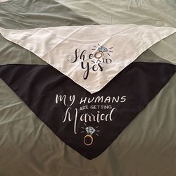 Pet Bandanas - Engagement