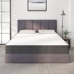 Selling Queen Size Mattress and Platform Bedframe