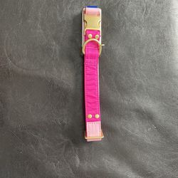 Large Dog Collar