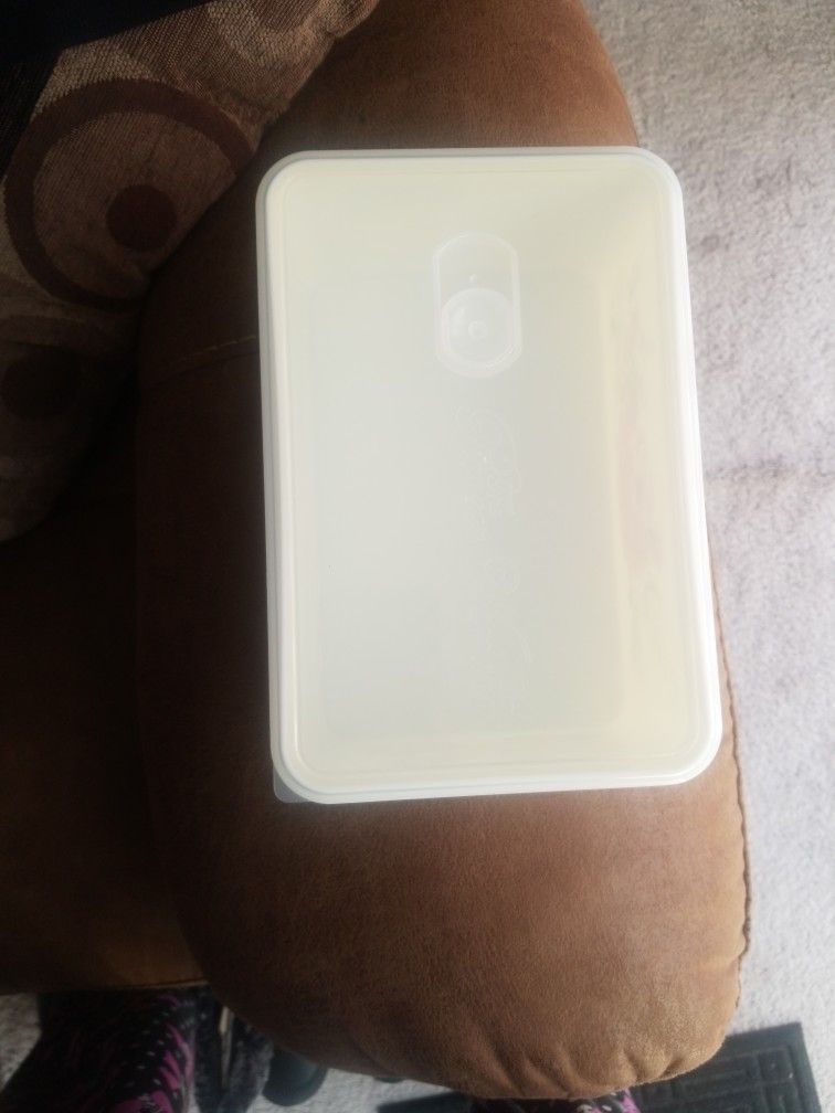 Pioneer woman Plastic Storage Container