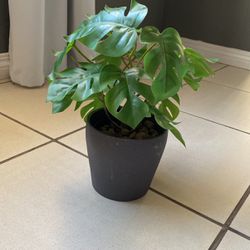 Fake Plant In Pot 