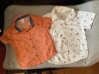 Toddler Dinosaur Shirts