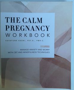 Pregnancy workbook