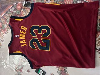LeBron James cavs jersey