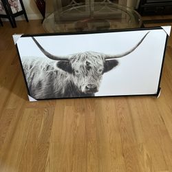 Longhorn Cow Wall Decor