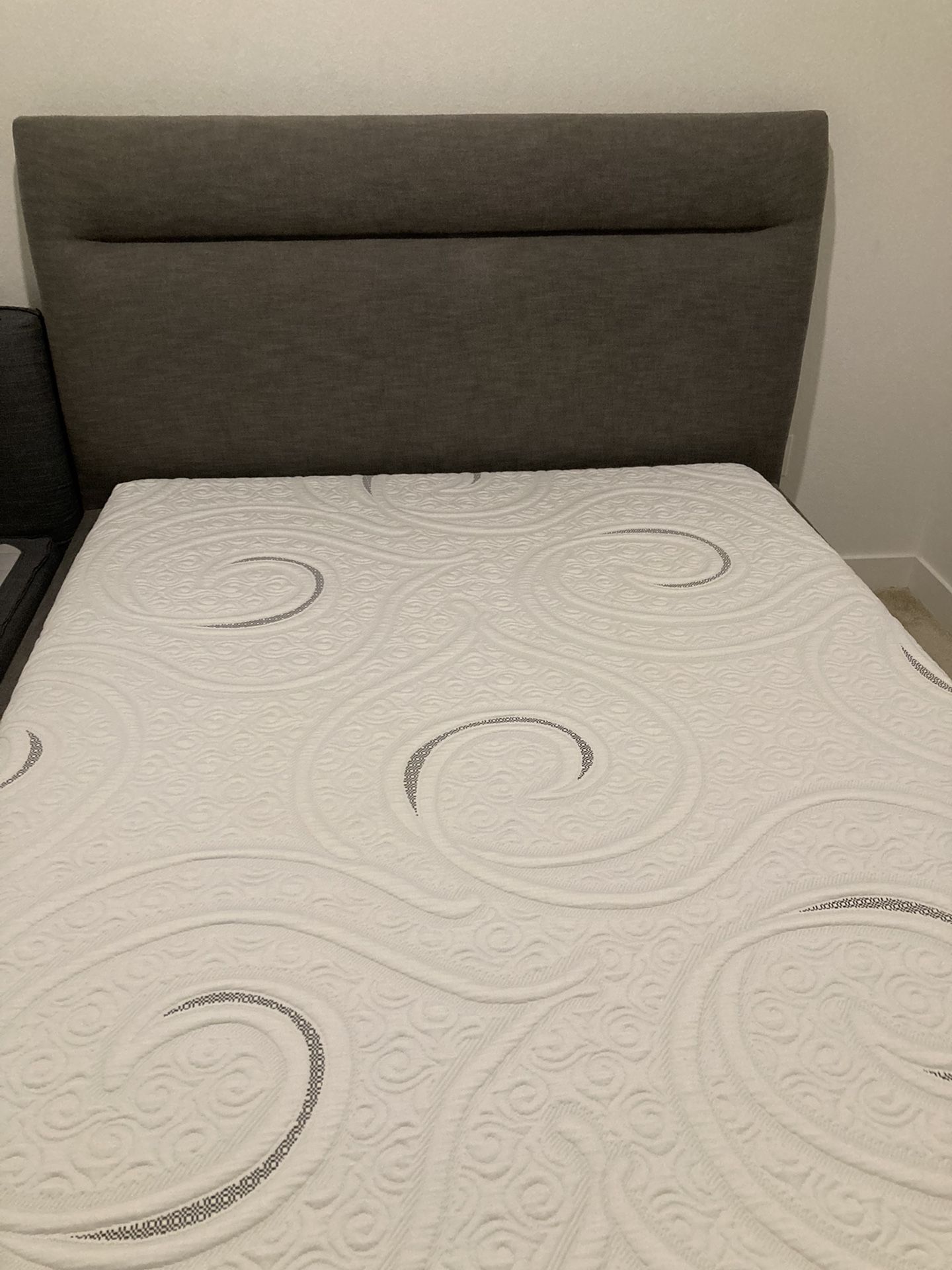 Queen Size Bed With Mattress 