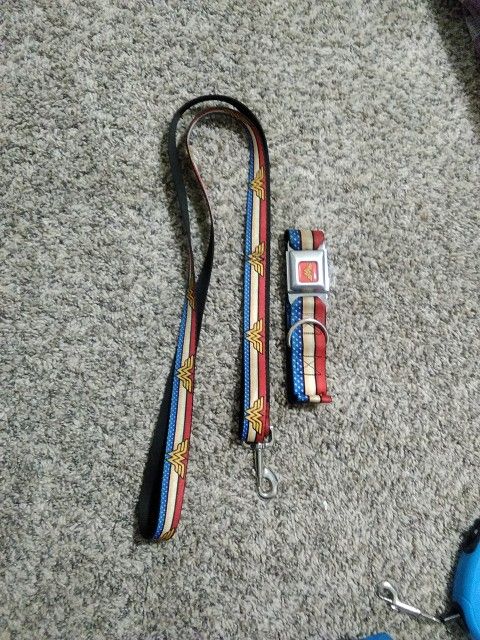 Leash And Collar