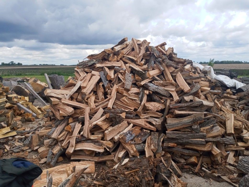 Firewood