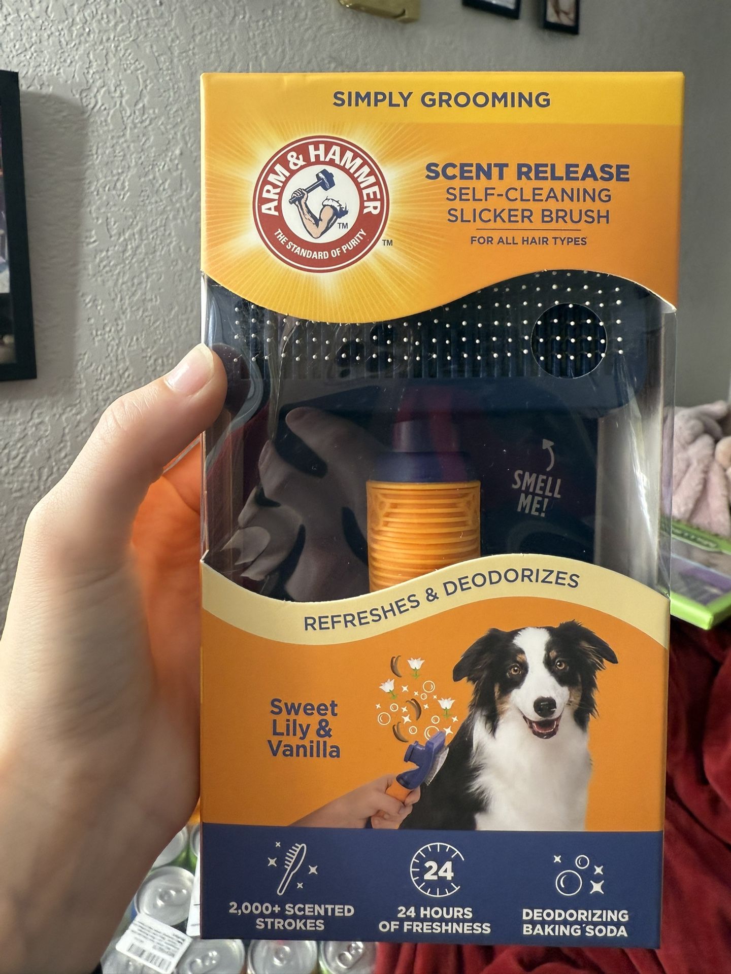 Arm And Hammer Dog Cleaning Brush