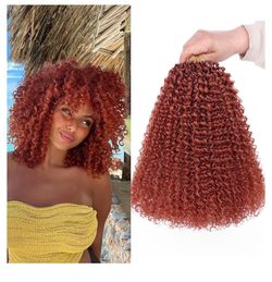 Beverlee Kinky Crochet Hair - Ginger 12 Inch Curly 8 Packs Micro Twist Yanky Twist Synthetic Wavy Pre Looped Crochet Hair for Black Women