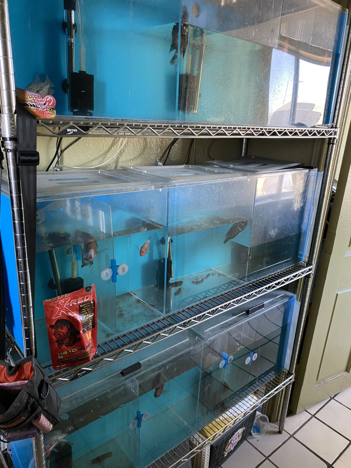 Fish Tanks Acrylic Divided