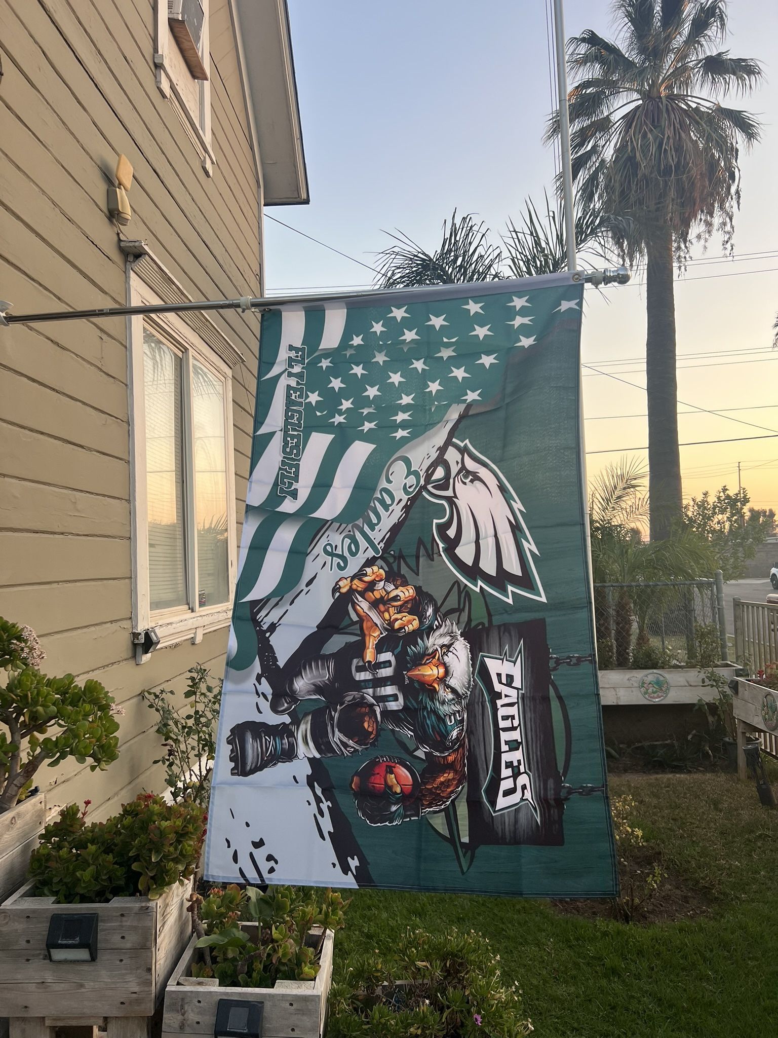 Philadelphia Eagles Flag Size 3ftx5ft
