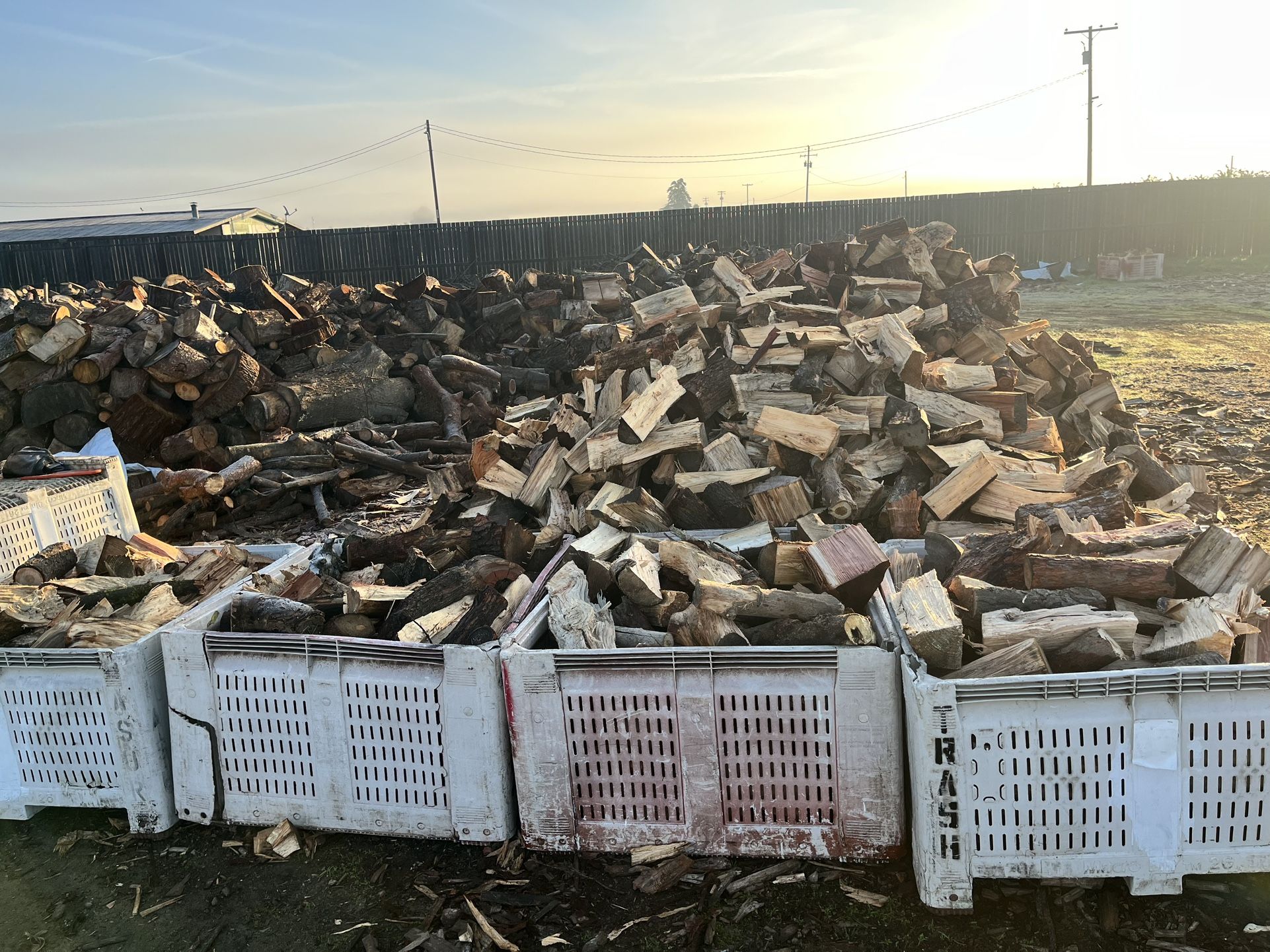 Firewood