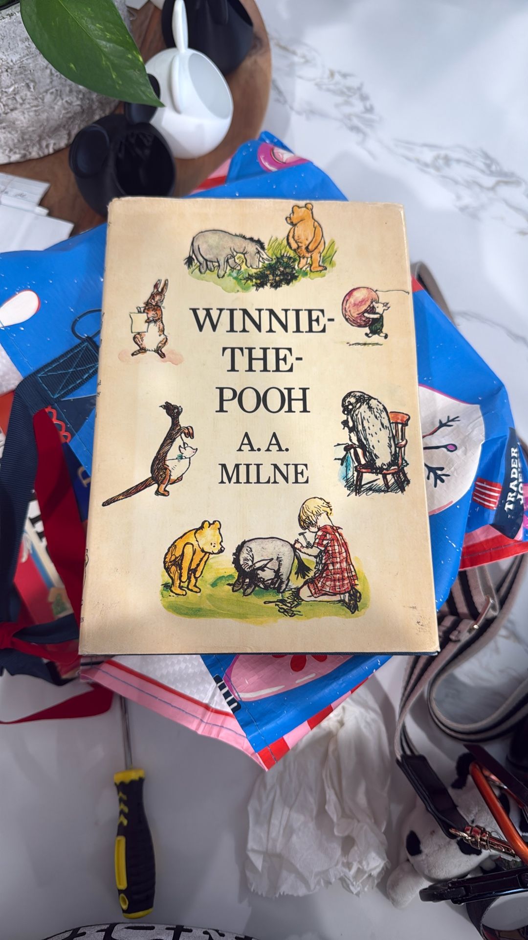 Winnie the Pooh Book