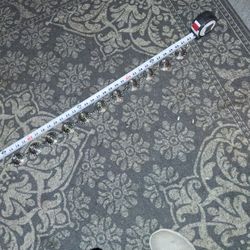 Silver Medalion Belt