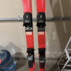 Volkl Zebra Super Plus 178 Cm 