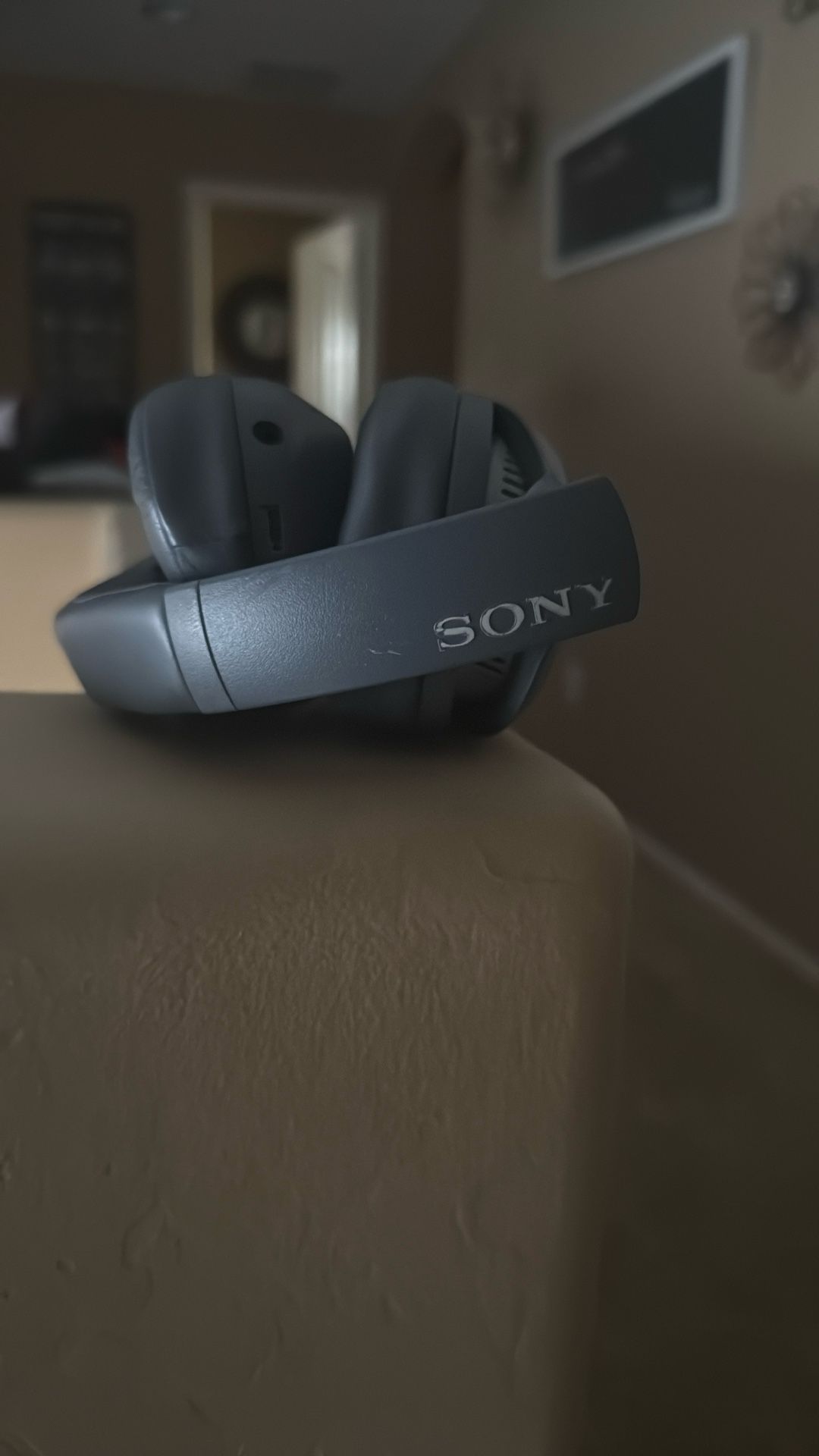 Sony Wireless Noise Canceling Headphones