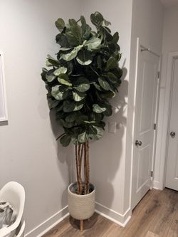 Premium Faux Fiddle Leaf Tree