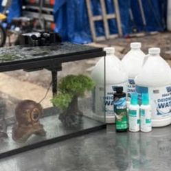 fish tank set up (complete)