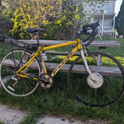 500 Watt E bike 