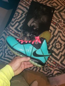 Lebron's south beach (pre heat) size 12