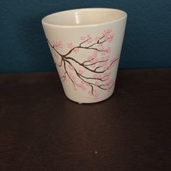 Japanese Sakura Cherry Tree