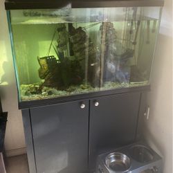 50 Gal Fish Tank Ready To Go 