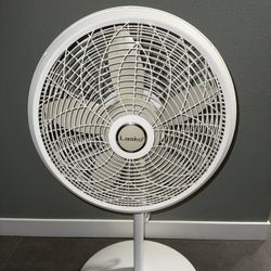 Lasko Electric Fan