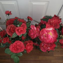 Fake Plants( Roses)