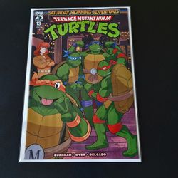 Teenage Mutant Ninja Turtles: Saturday Morning Adventures II #13