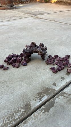 Live rock for saltwater fish tank