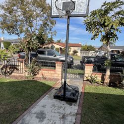 Basketball Court