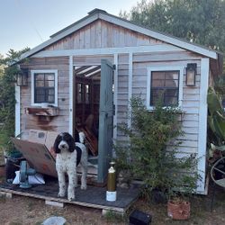 12 X12 Shed W/AC Unit 