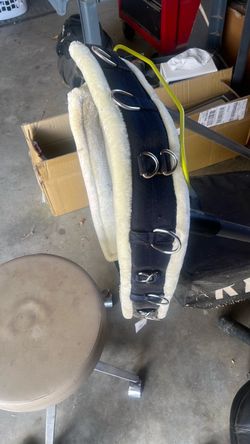 Horse lunging girth. Para Rienda larga
