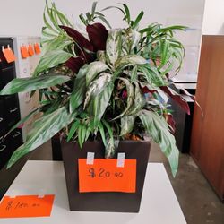 Faux Plant In Planter