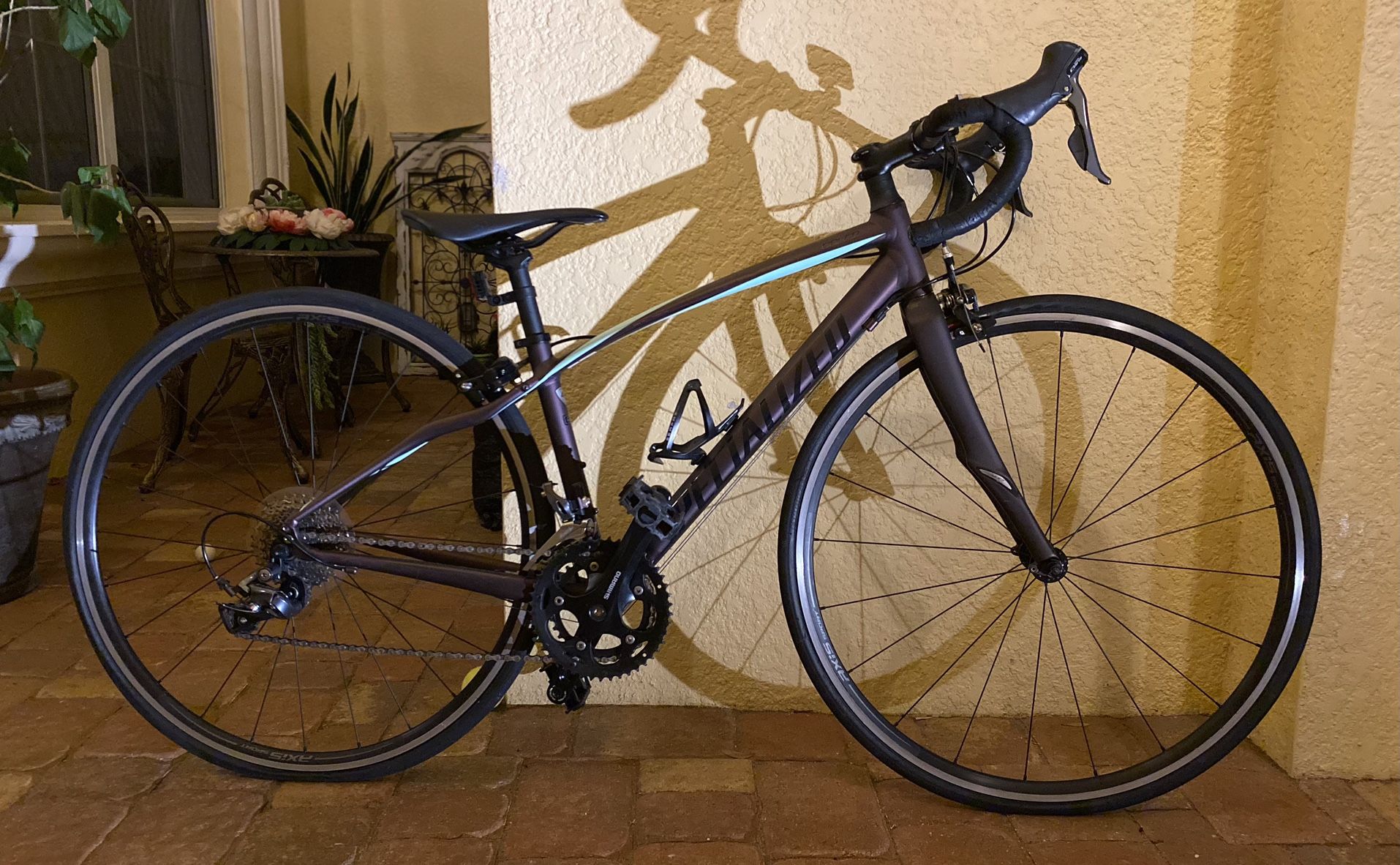 Specialized Dolce 2019 Size 44 Bikes Cycling