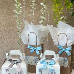 Favor Bags/ Party Boxes 