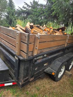 Trailer Load of fresh Split Firewood