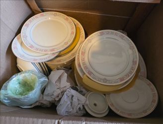 Vintage Egyptian shell fine china