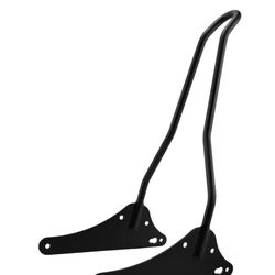 Dyna Sissy Bar