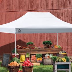 Brand New Canopy 10x16 Commercial 
