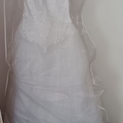 Wedding Dress 👰 