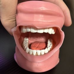 Acadental moduPro DH 520 Typodont With Like