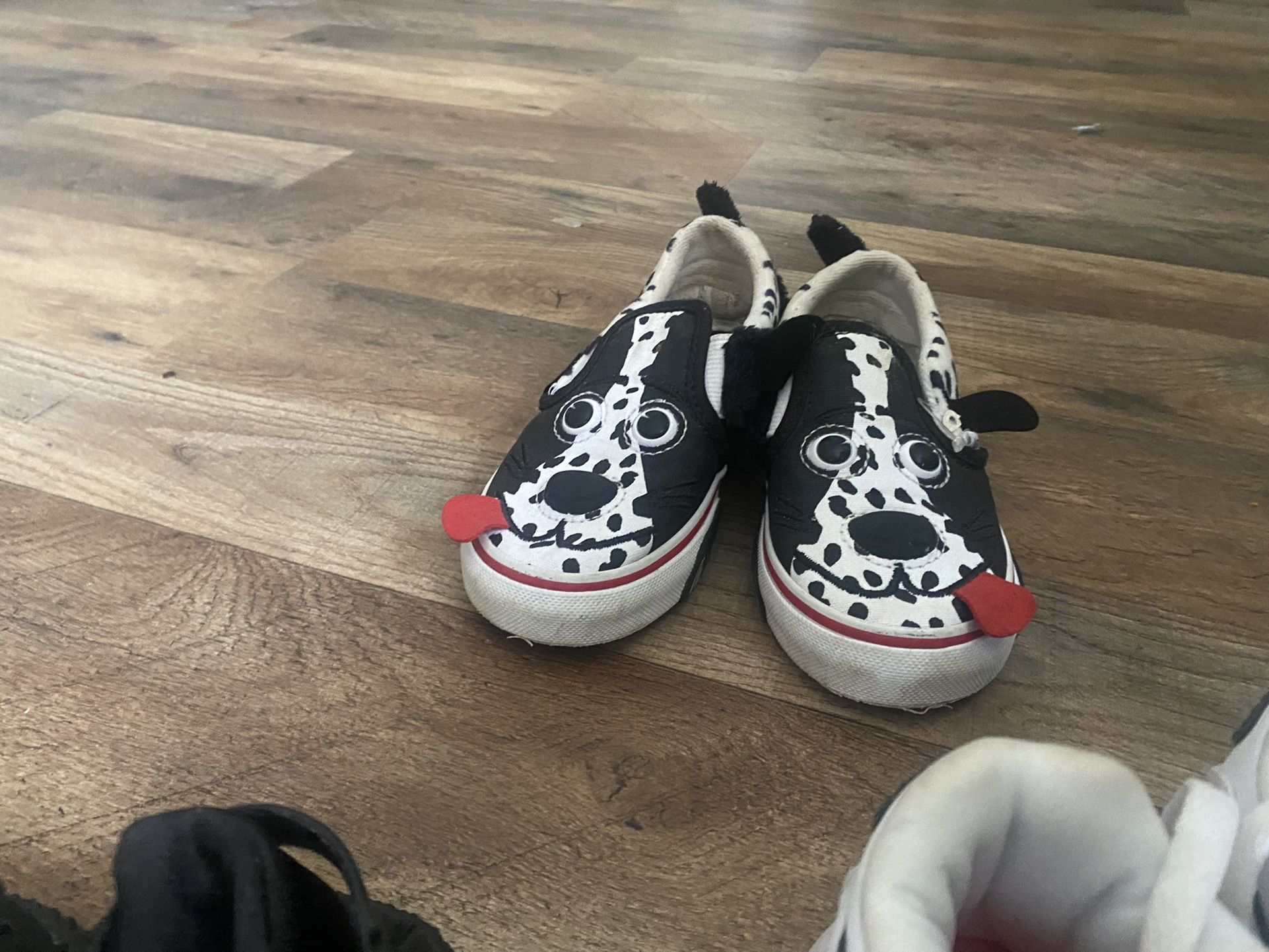 Doggie Converse