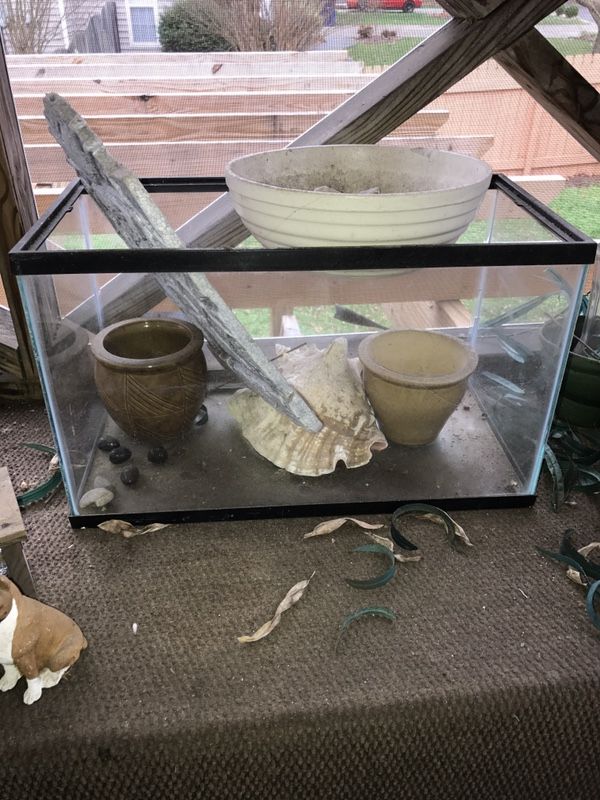 Small Fish Tanks