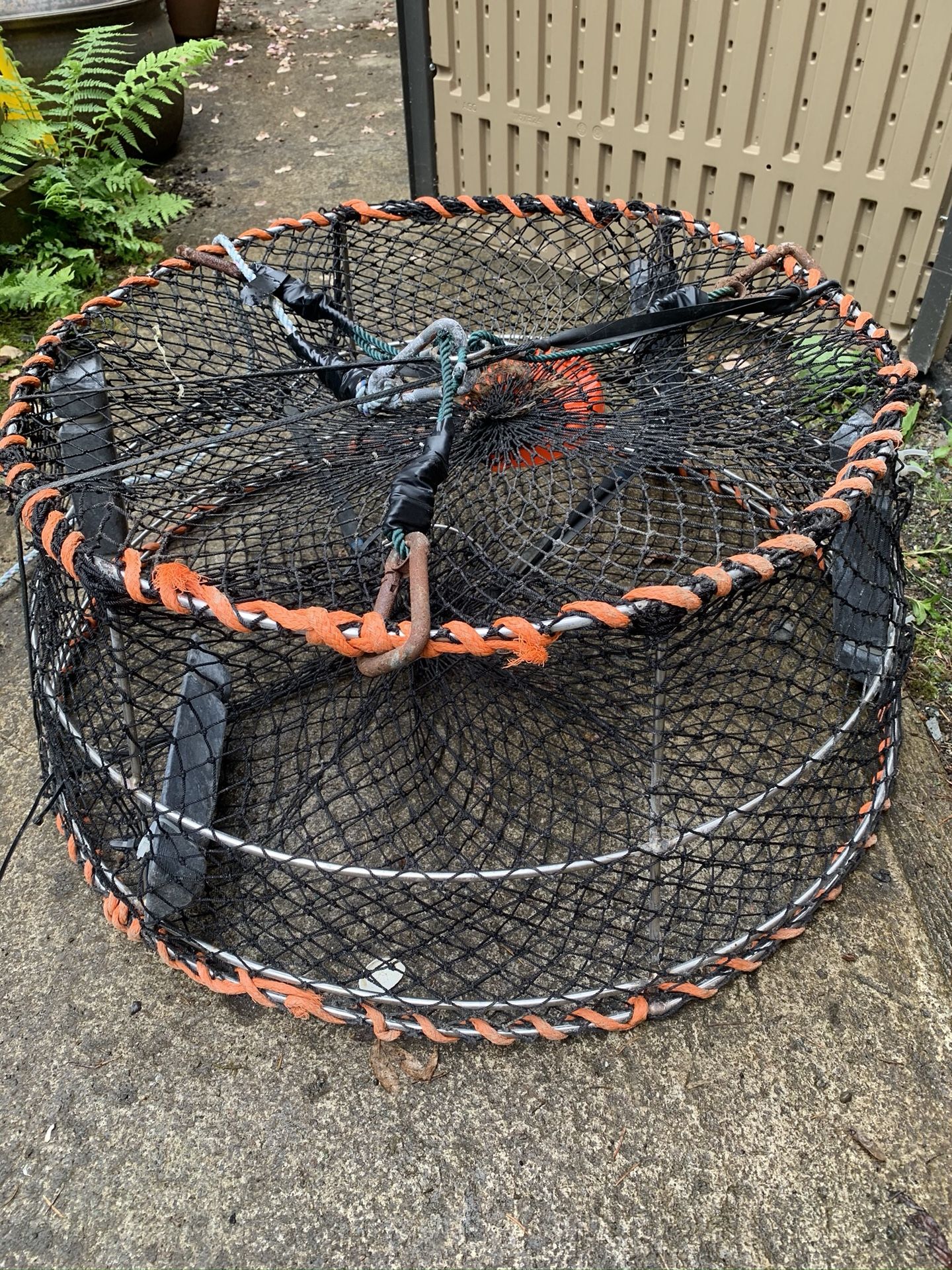 Set of 4 Stainless Steel Shrimp Prawn traps for Sale in Mill Creek, WA